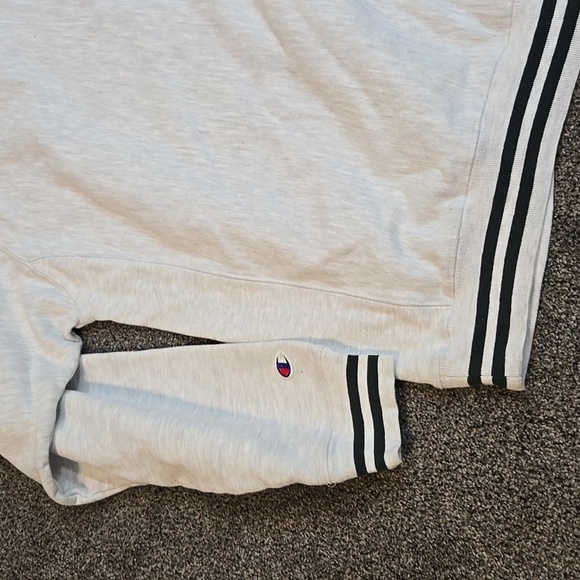 Vintage Champion Mens Okoboji The Lake Reverse Weave 90" Crewneck Pullover Sz L - Picture 6 of 7